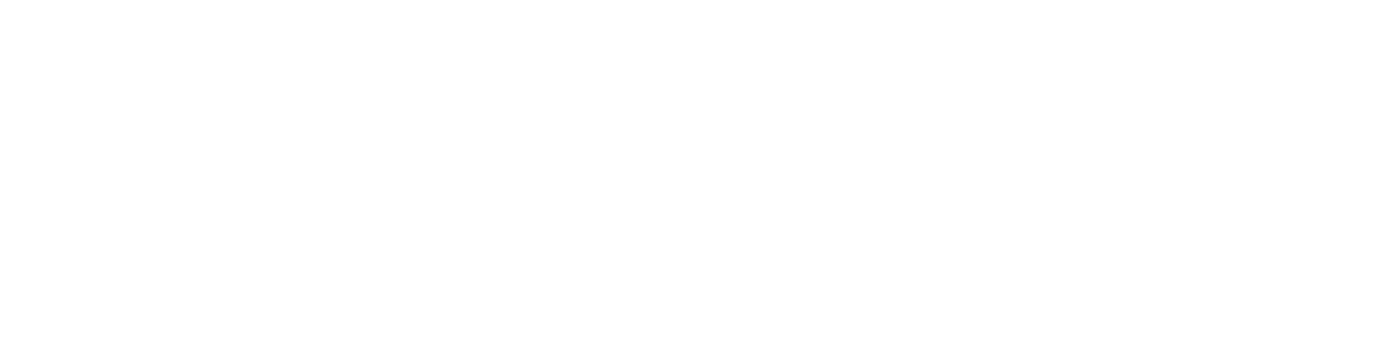 NetIT Genuity